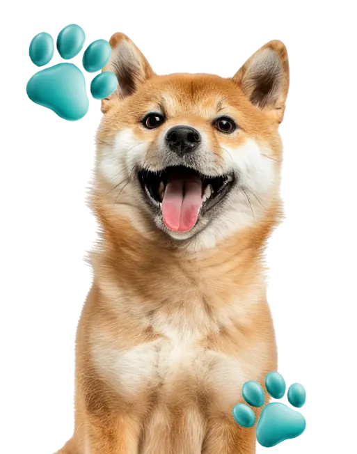 Shiba inu sonriente con huellas LYCAN